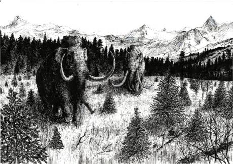 Mammut - Vilinskiy Nic - Array auf Array - Array - Array Mammut - Vilinskiy Nic - Array auf Array - Array - Array