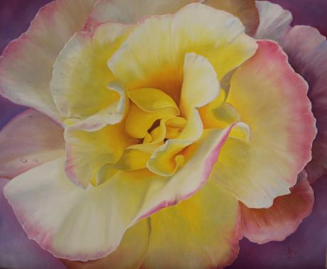 Rosenzauber - Heike Ziethen - Array auf Array - Array - Array Rosenzauber - Heike Ziethen - Array auf Array - Array - Array