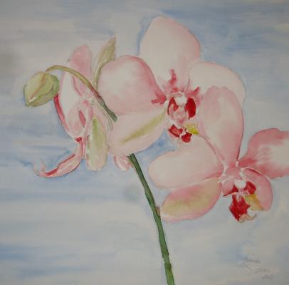 Orchidee 2 - Mario Rischke - Array auf Array - Array - Array Orchidee 2 - Mario Rischke - Array auf Array - Array - Array