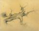 surrealer Baum I - Michael Haack - Bleistift auf - Sonstiges - surrealer Baum I - Michael Haack - Bleistift auf - Sonstiges -
