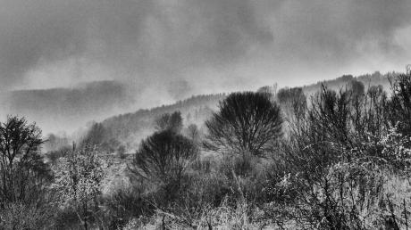 Kovatchevitsa 1 - Stephan Trauner - Array auf - Array - Kovatchevitsa 1 - Stephan Trauner - Array auf - Array -