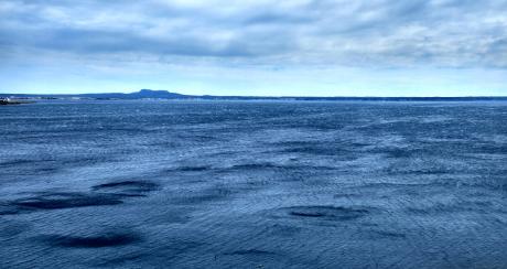 Sturm - Stephan Trauner - Array auf - Array - Sturm - Stephan Trauner - Array auf - Array -