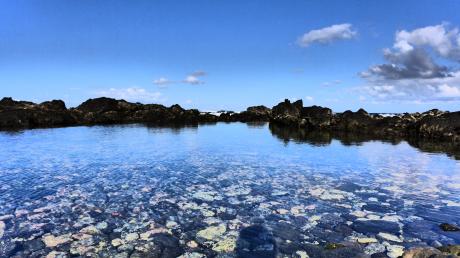 Riff - Stephan Trauner - Array auf - Array - Riff - Stephan Trauner - Array auf - Array -