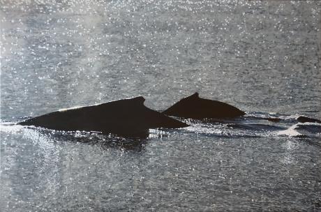 Sehr viel Mee(h)r - dunjate Kunst in Acryl - Array auf Array - Array - Array Sehr viel Mee(h)r - dunjate Kunst in Acryl - Array auf Array - Array - Array