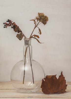 Herbst2 - fernand Reiter - auf - Array - Herbst2 - fernand Reiter - auf - Array -