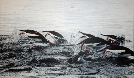 Jump! - dunjate Kunst in Acryl - Array auf Array - Array - Array Jump! - dunjate Kunst in Acryl - Array auf Array - Array - Array