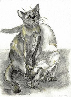 Wegelagerer - Karin Liste - Array auf - Array - Wegelagerer - Karin Liste - Array auf - Array -