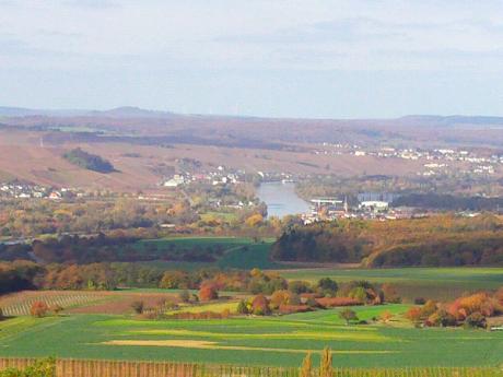 ---goldener Oktober - Sandra Schmit - auf - - ---goldener Oktober - Sandra Schmit - auf - -