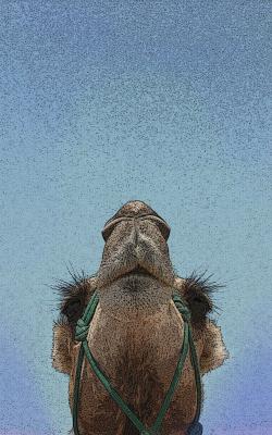 ---von oben herab - Stefan Kuhle - Array auf Array - Array - Array ---von oben herab - Stefan Kuhle - Array auf Array - Array - Array