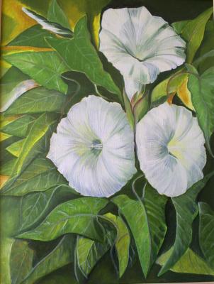 Winden - Rebekka Känel - Array auf Array - Array - Array Winden - Rebekka Känel - Array auf Array - Array - Array