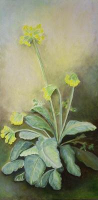 Schlüsselblume - Rebekka Känel - Array auf Array - Array - Array Schlüsselblume - Rebekka Känel - Array auf Array - Array - Array