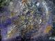 ---miracle in the universe -  Wyss - Acryl auf Leinwand - Abstrakt - Abstrakt