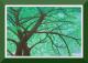 Arbre - Ilonka Brandstetter - Ãl auf Holz - Landschaft - Klassisch