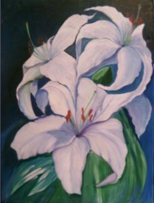 Weisse Lilien - Rebekka Känel - Array auf Array - Array - Weisse Lilien - Rebekka Känel - Array auf Array - Array -