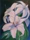 Weisse Lilien Weisse Lilien