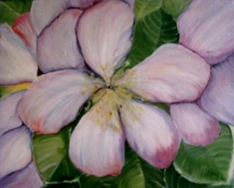 Apfelblüten--- - Rebekka Känel - Array auf Array - Array - Apfelblüten--- - Rebekka Känel - Array auf Array - Array -